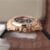 オーデマピゲ ロイヤルオーク クロノグラフ – 1:1スーパークローン
